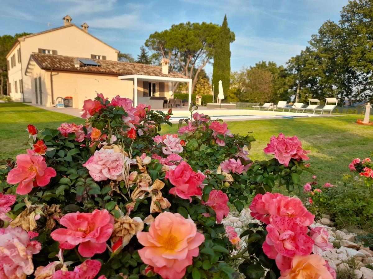 Relais Villa Sofia Calcinelli Екстер'єр фото